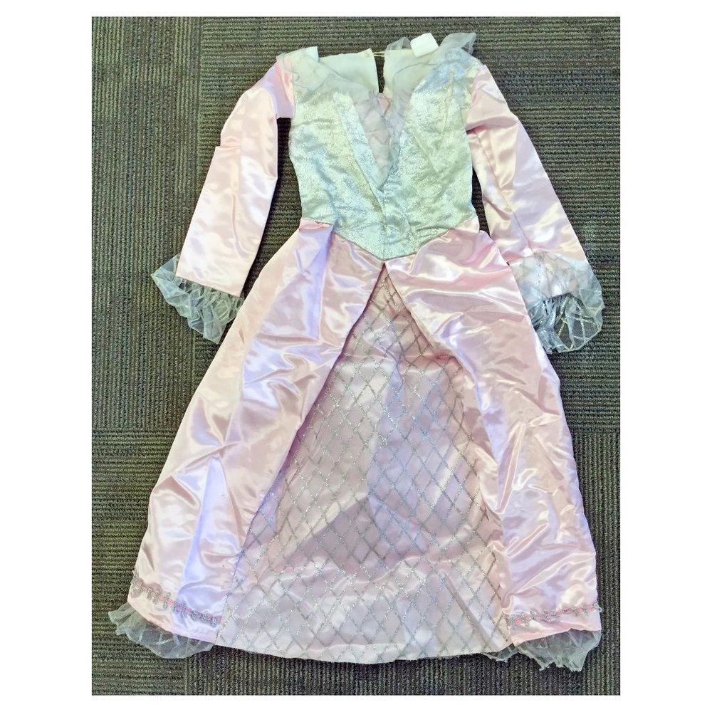 Shrek Princesses Cinderella Costume Child SM 4-6